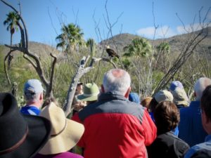 Read more about the article 2020 ROAD TRIP TUCSON: Arizona-Sonora Desert Museum