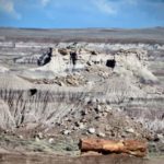 Giant and rare, intact petrified log at Blue Mesa inside the Petrified Forest National Park, Arizona.