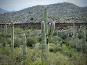 Read more about the article 2020 ROAD TRIP TUCSON: The Wall