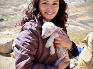 Who doesn't want to hold an adorable little lamb (or alpaca?) – near Colca Canyon