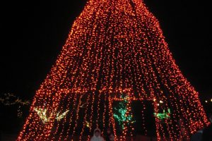 Christmas at the Daniel Stowe Botanical Garden in Charlotte