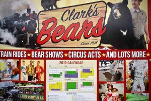 Clark's Bears in Lincoln, New Hampshire