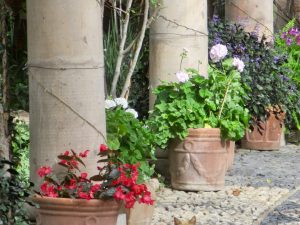 Hugo at the Hacienda las Trancas
