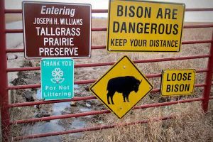 The gate to the John H. Williams Tallgrass Prairie Preserve, the largest tallgrass preservation area in the world