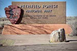 The petrified entry to the Petrified Forest National Park off I-40, west of Albuquerque