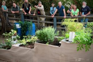 Our guide explains hydroponic and other sustainable plant growth systems at Biosphere 2