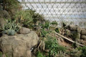 A view of the 15,000 square foot indoor fog desert at Biosphere 2