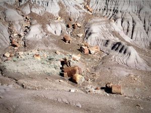 Remnants of petrified trees at Blue Mesa inside the Petrified Forest National Park, Arizona.