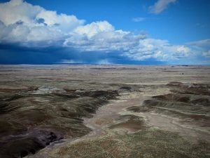 The view north from the Petrified Forest National Park, Arizona.