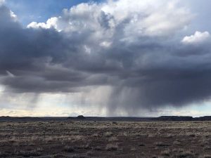 A desert cloudburst just west of the Petrified Forest National Park, Arizona.