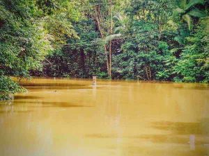 Time to turn the car around. I think that's what that street sign says.