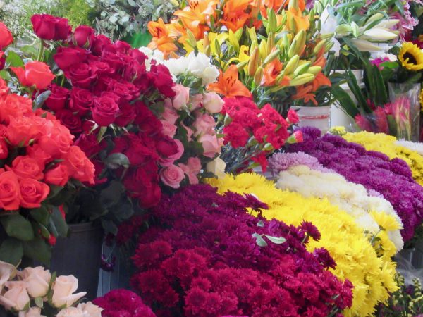 Flowers inside the Ignacio Ramirez Mercado in San Miguel de Allende